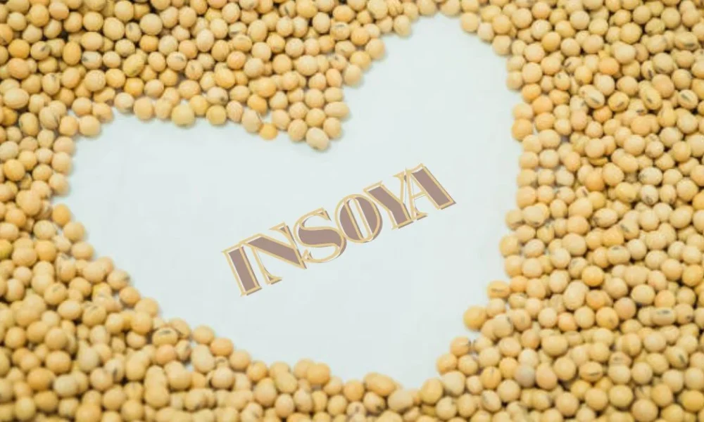 Insoya