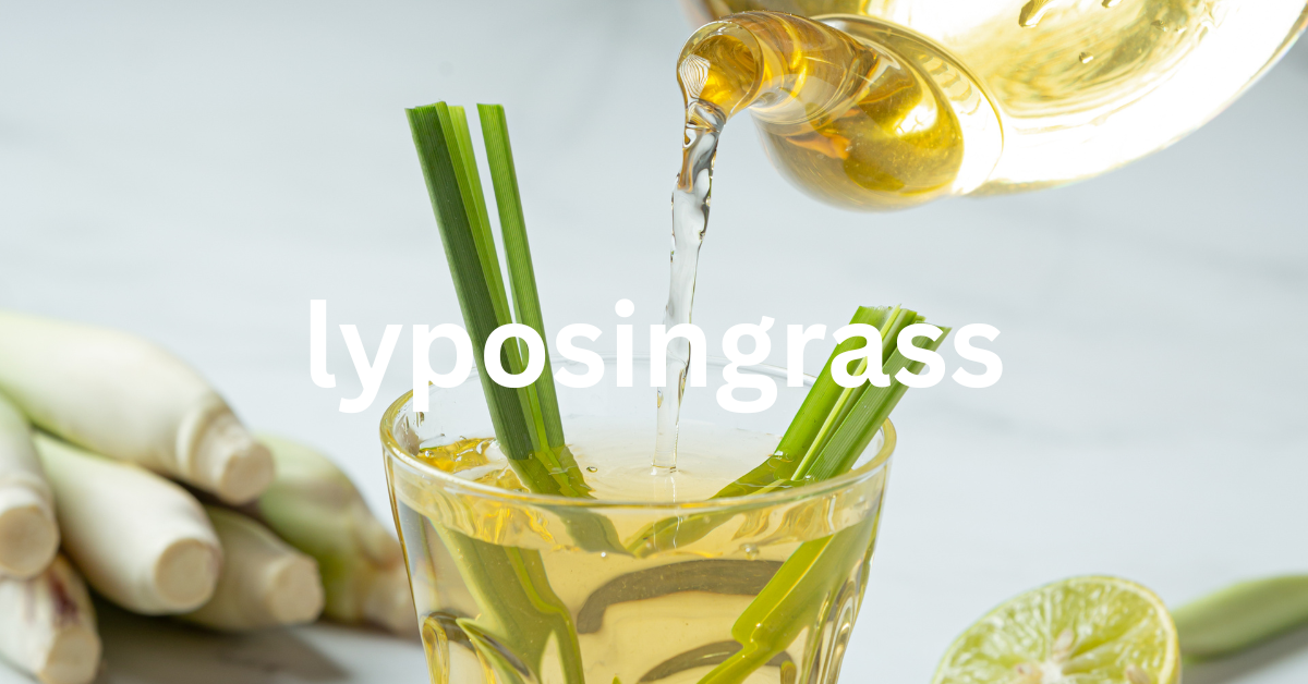 Lyposingrass