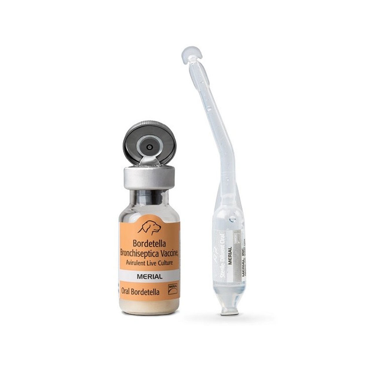 bordetella vaccine