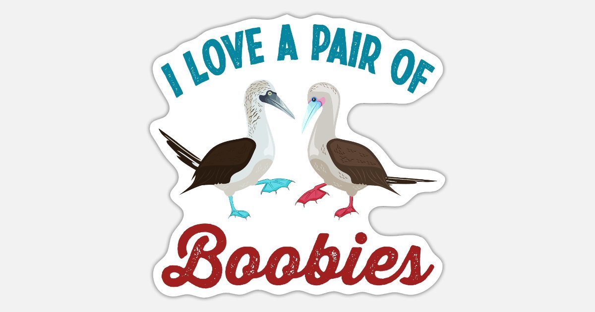 booby day